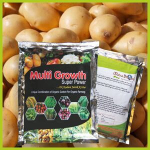 Multi Growth Super Power 1 KG