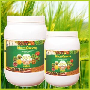 Multi Growth 500 GR
